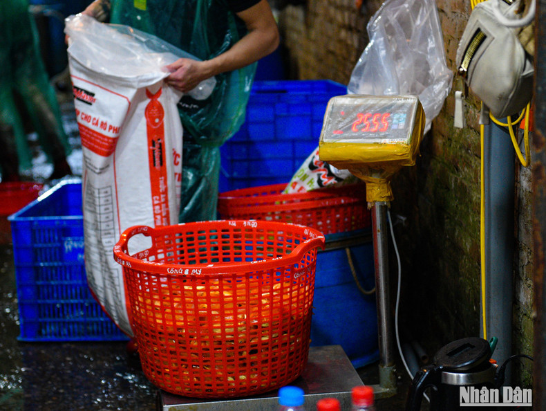 The price is VND 90,000-120,000 per kilogramme for premium fish, while the standard quality is about VND 60,000 per kilogramme. The price is VND 90,000-120,000 per kilogramme for premium fish, while the standard quality is about VND 60,000 per kilogramme.