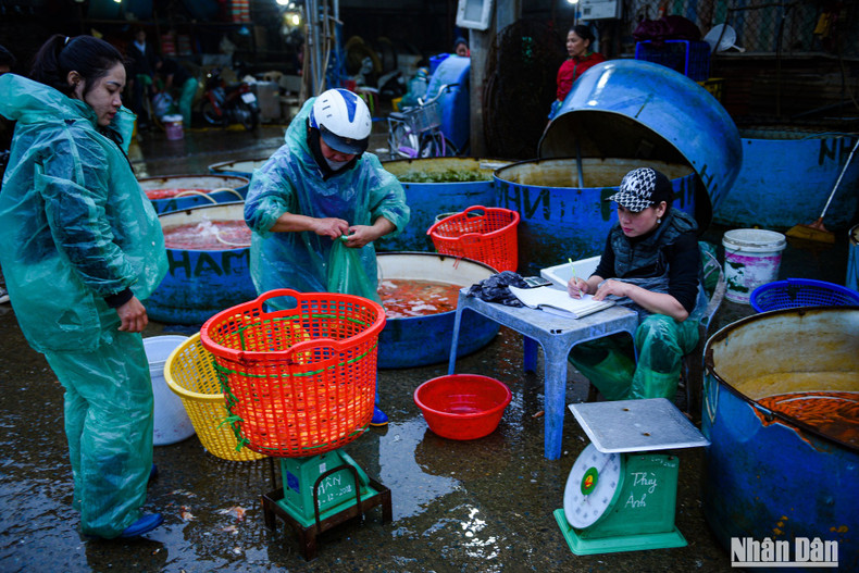 The price of fish this year at the market dropped sharply. The price of fish this year at the market dropped sharply.