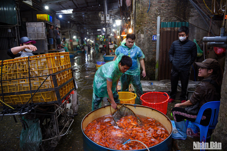 On the early morning of January 12, the Yen So Fish Market, Hoang Mai District, Hanoi, is crowded as small traders and people come to buy red carp for the Kitchen Gods ceremony. On the early morning of January 12, the Yen So Fish Market, Hoang Mai District, Hanoi, is crowded as small traders and people come to buy red carp for the Kitchen Gods ceremony.