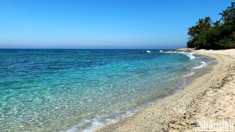 Pristine beaches free of litter make An Binh all the more serene and valuable.