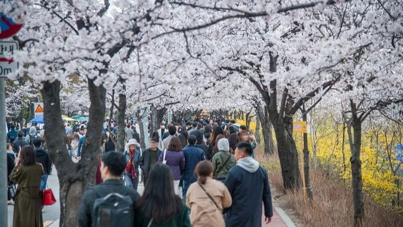 The KTO constantly updates its offerings to meet the diverse needs of Vietnamese travellers. (Photo: KTO)