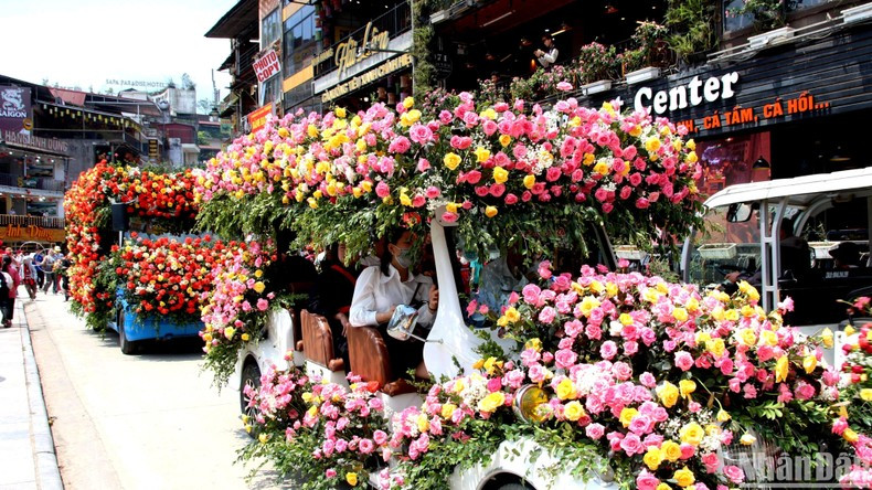 Cars with roses parade on the streets of Sapa. (Photo: Quoc Hong)
