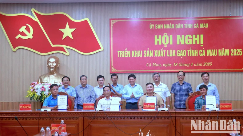 Rice enterprises sign a cooperation agreement on production chain linkage at the conference, witnessed by local authorities. Rice enterprises sign a cooperation agreement on production chain linkage at the conference, witnessed by local authorities.