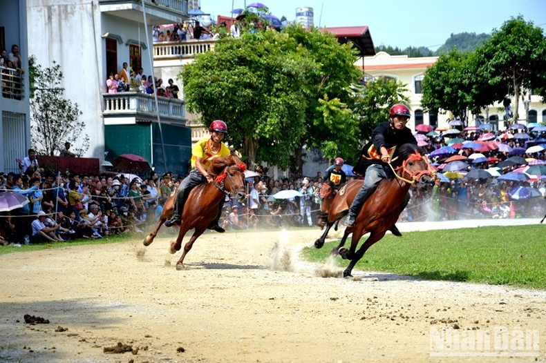 Two horses racing in fierce competition.
