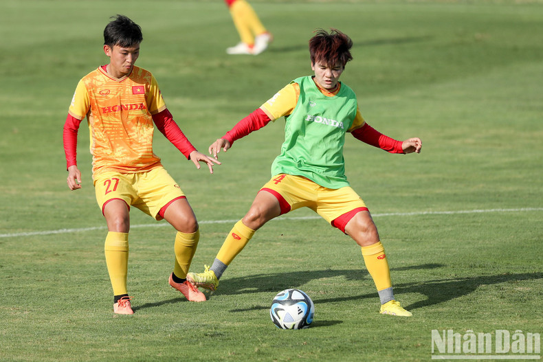 The players are divided into two teams to compete against each other.