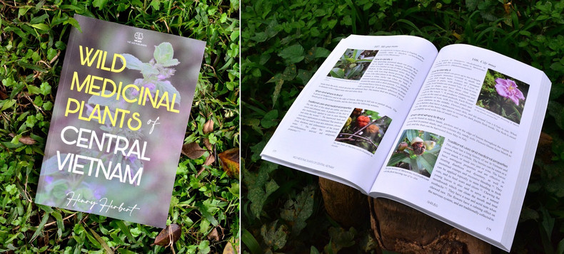 Englishman gets inspired by Vietnamese plants ảnh 1 Englishman gets inspired by Vietnamese plants ảnh 1