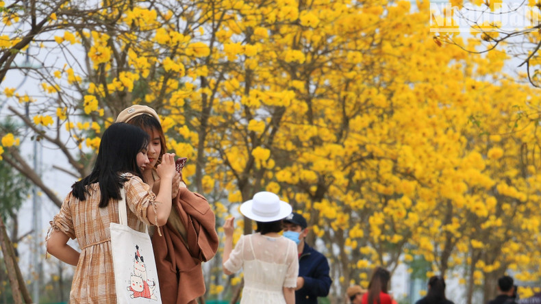 The road has become a popular check-in place for youngsters these days. The road has become a popular check-in place for youngsters these days.