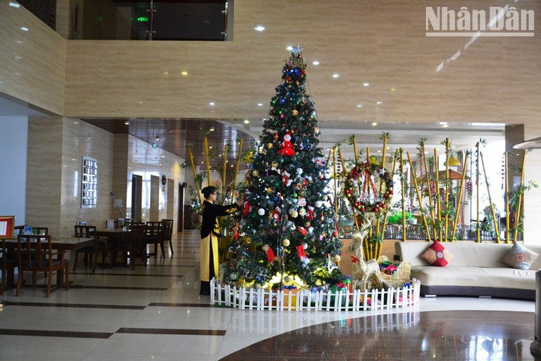Christmas tree at the Amazing-Sa Pa hotel.
