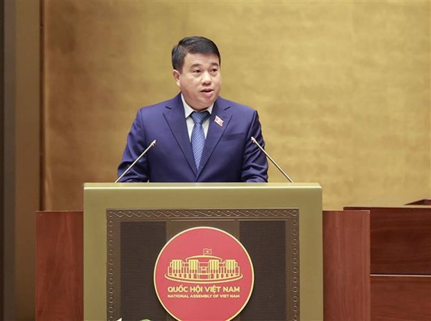 Chairman of the National Assembly’s Committee for Ethnic Minority Affairs Y Thanh Ha Nie KDam (Photo: VNA) Chairman of the National Assembly’s Committee for Ethnic Minority Affairs Y Thanh Ha Nie KDam (Photo: VNA)