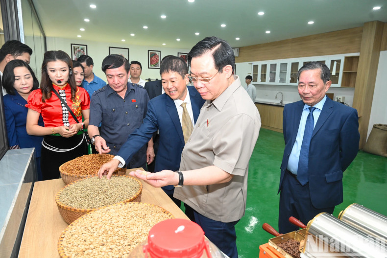 NA Chairman Vuong Dinh Hue visited the production and processing line at the factory. NA Chairman Vuong Dinh Hue visited the production and processing line at the factory.