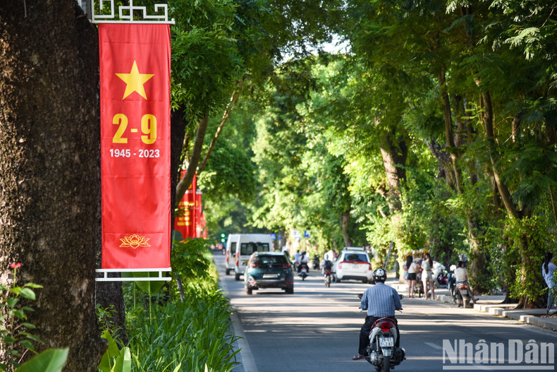 [In Pictures] Streets of Hanoi coloured in flags and flowers to celebrate Vietnam's National Day ảnh 5
