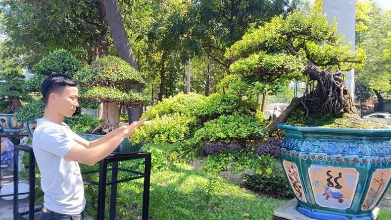 The works at the exhibition are carefully selected, showing the power and potential of Vietnam's ornamental plants.