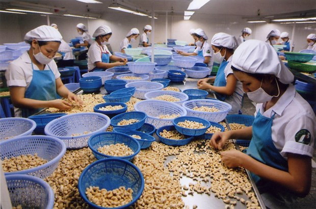 Trade between Vietnam and Israel jumps from 1.2 billion USD in 2019 to 2.2 billion USD last year. (Photo: VNA) Trade between Vietnam and Israel jumps from 1.2 billion USD in 2019 to 2.2 billion USD last year. (Photo: VNA)
