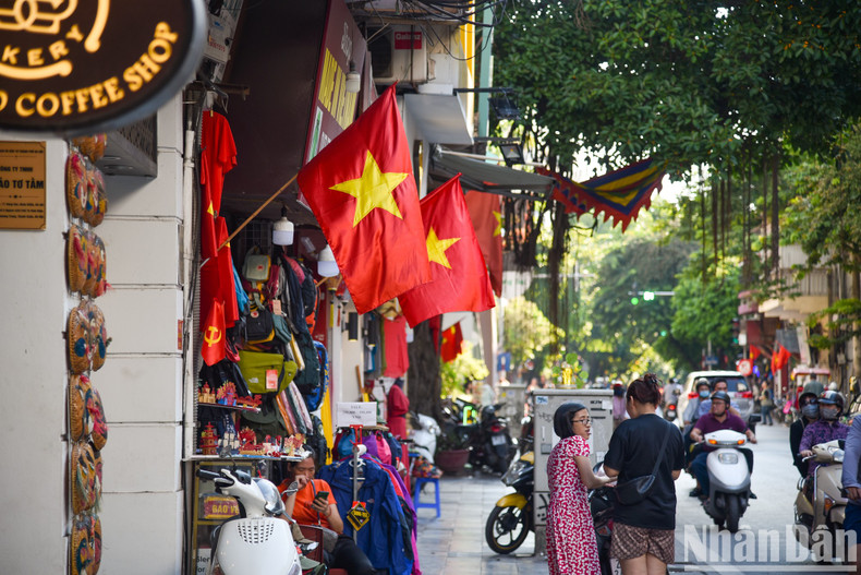 [In Pictures] Streets of Hanoi coloured in flags and flowers to celebrate Vietnam's National Day ảnh 12