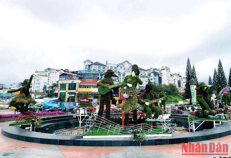 Flowers showcased in the downtown of Da Lat city.