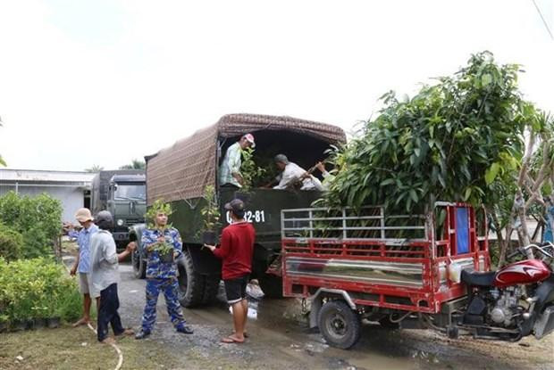Donated seedlings will be transported to Khanh Hoa province. (Photo: VNA)
