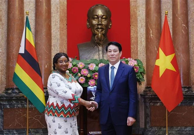 State President Luong Cuong receives Zimbabwean Ambassador Constance Chemwayi. (Photo: VNA)
