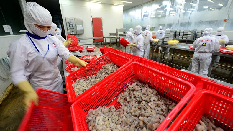 Processing seafood for export at Cafatex Hau Giang Seafood Joint Stock Company. (Photo: ANH TUAN)