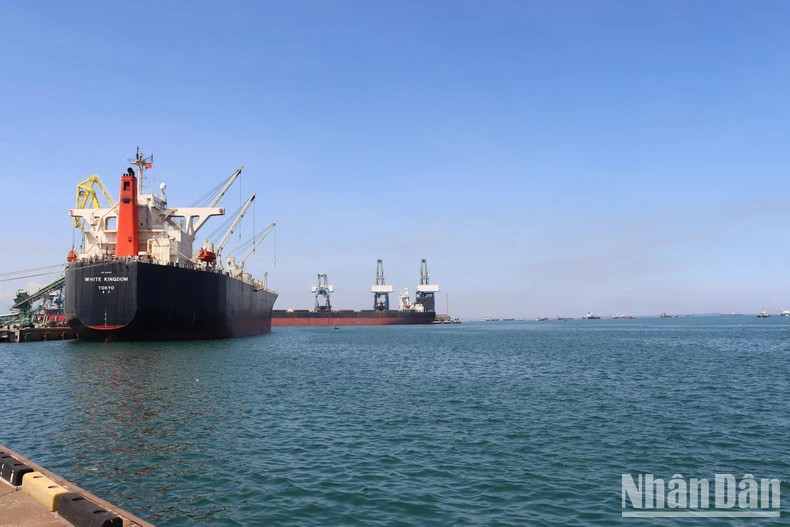 Deep-water seaport, a distinct advantage of Dung Quat Economic Zone. Deep-water seaport, a distinct advantage of Dung Quat Economic Zone.