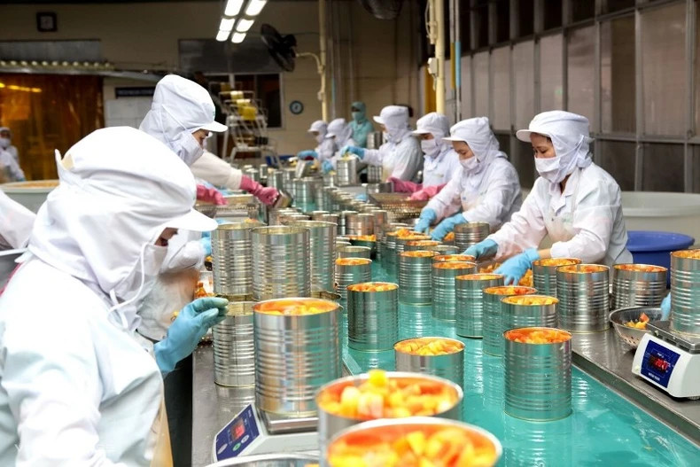 Enterprises increase processing to increase the export value of fruit and vegetables.