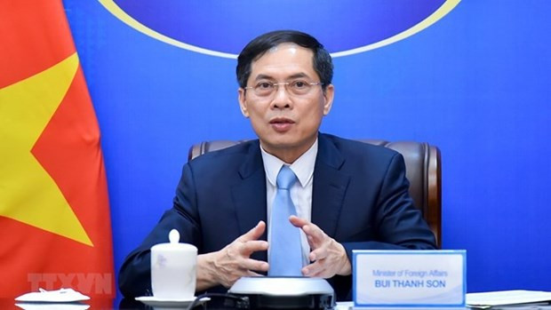 Foreign Minister Bui Thanh Son. (Photo: VNA) Foreign Minister Bui Thanh Son. (Photo: VNA)