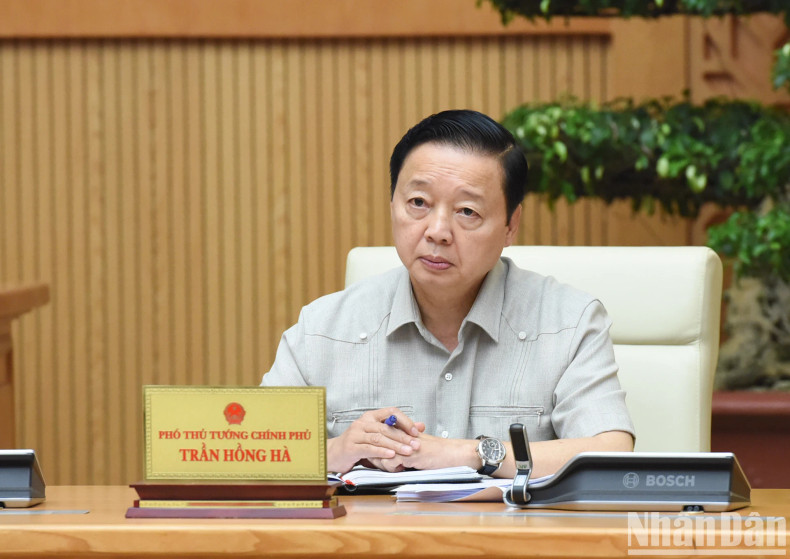 Deputy Prime Minister Tran Hong Ha speaks.