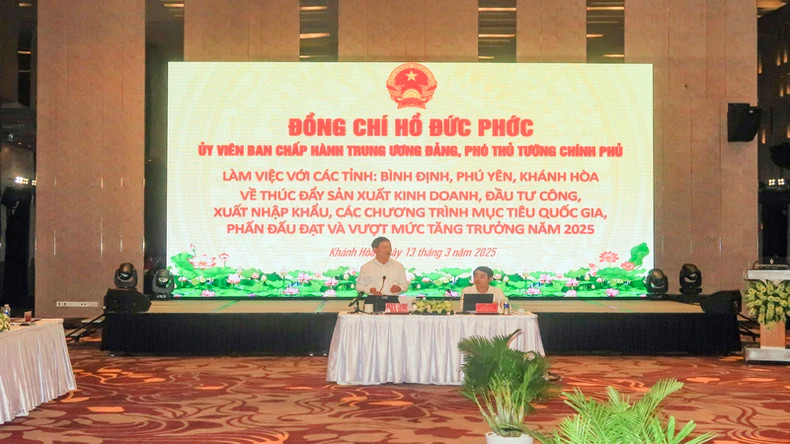Deputy Prime Minister Ho Duc Phoc delivers a concluding speech at the meeting. (Photo: PHONG NGUYEN)