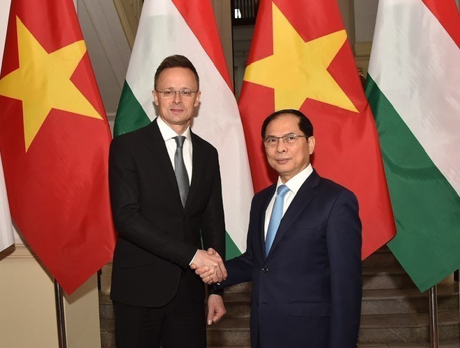 Deputy Prime Minister and Minister of Foreign Affairs Bui Thanh Son (R) shakes hands with Hungarian Minister of Foreign Affairs and Trade Szijjarto Peter. (Photo: VNA) Deputy Prime Minister and Minister of Foreign Affairs Bui Thanh Son (R) shakes hands with Hungarian Minister of Foreign Affairs and Trade Szijjarto Peter. (Photo: VNA)