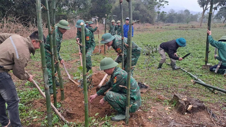 Mon Son Border Guard Station's Youth Union and other forces stationed in the area organise the planting of "Youth Trees" in the stadium area of Mon Son Commune, Con Cuong District. Mon Son Border Guard Station's Youth Union and other forces stationed in the area organise the planting of "Youth Trees" in the stadium area of Mon Son Commune, Con Cuong District.