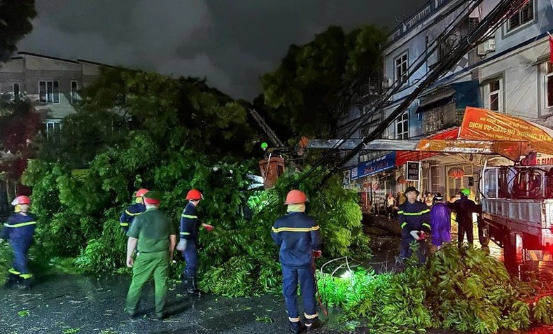 Functional forces help with the clearance of fallen trees. (Photo: NDO/Ngoc Long) Functional forces help with the clearance of fallen trees. (Photo: NDO/Ngoc Long)