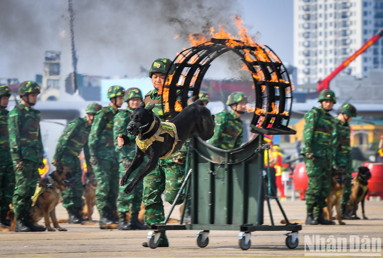 A performance of military dogs at the opening ceremony.