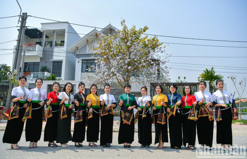 A group of Thai ethnic women pose in front of a blooming bauhinia tree.