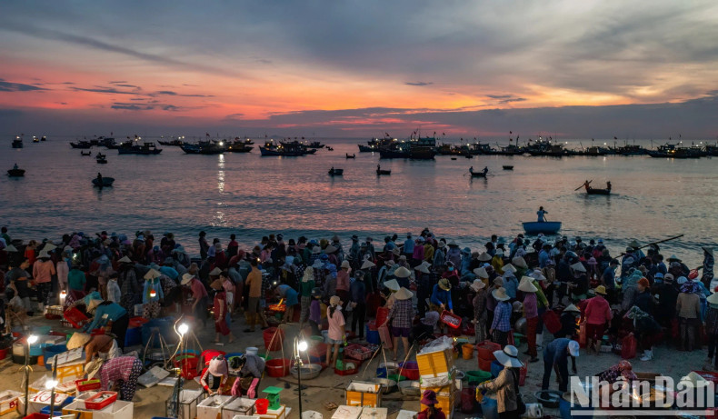 Fishing villagers in Cam Ranh City, Khanh Hoa Province, wait for offshore fishing boats to return from sea with abundant seafood catches. Fishing villagers in Cam Ranh City, Khanh Hoa Province, wait for offshore fishing boats to return from sea with abundant seafood catches.