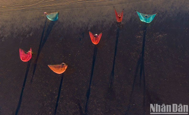 Many generations of fishermen in Go Cong District, Tien Giang Province, earn their living through aquaculture at sea. Many generations of fishermen in Go Cong District, Tien Giang Province, earn their living through aquaculture at sea.