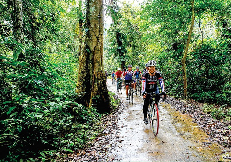 Tourists cycle in Xuan Son National Park in the northern province of Phu Tho. (Photo: baophutho.vn)