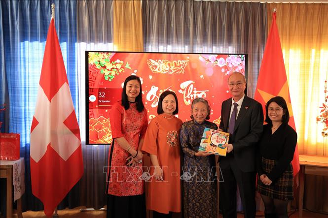 Lunar New Year celebrations for overseas Vietnamese held abroad ảnh 1