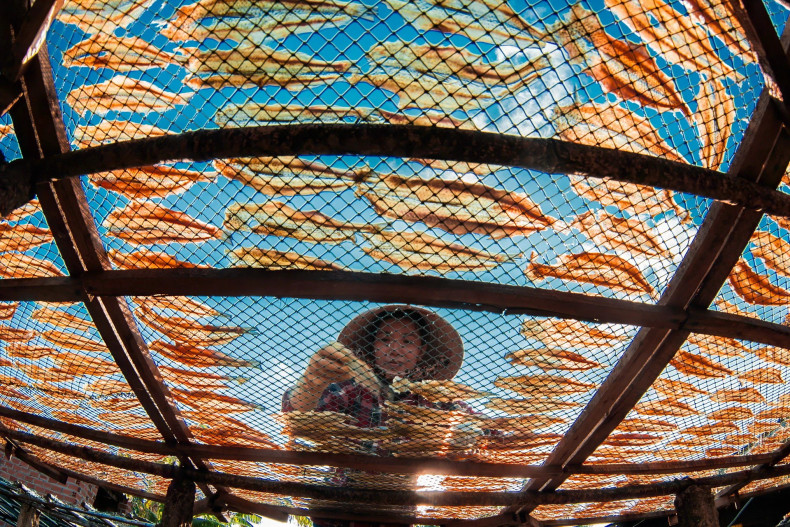 The drying process is carried out in a meticulous manner. The drying process is carried out in a meticulous manner.