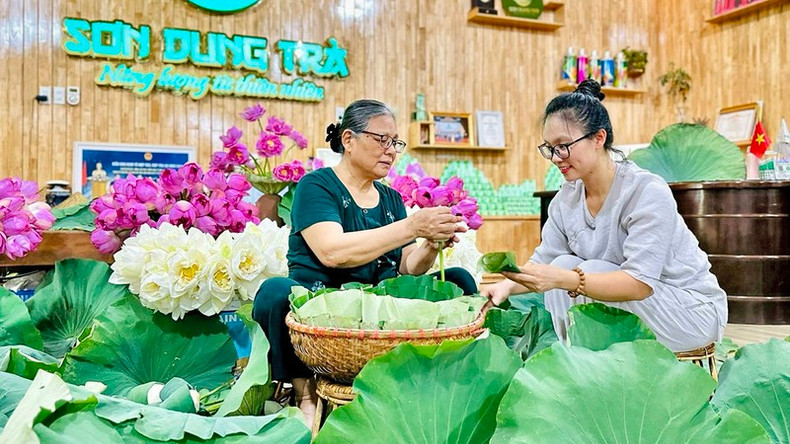 Production of lotus tea at Son Dung Tea Cooperative in Thai Nguyen Province.