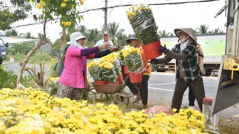 The demand is particularly high in Ho Chi Minh City and nearby provinces.