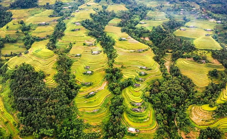 An aerial view of terraced fields in Hoang Su Phi (Photo: Duc Toan) An aerial view of terraced fields in Hoang Su Phi (Photo: Duc Toan)