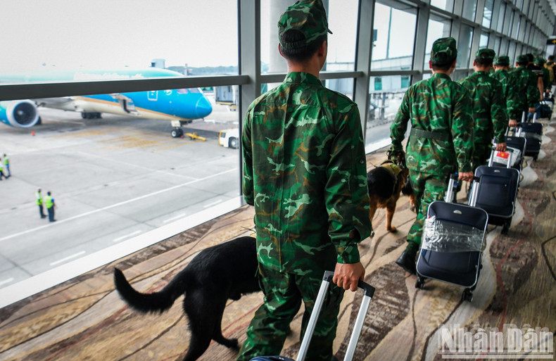 During their mission in Myanmar, the Vietnamese army’s rescue team discovered 32 locations with trapped victims under the rubble. They also directly organised searches at 20 locations and recovered 21 bodies. During their mission in Myanmar, the Vietnamese army’s rescue team discovered 32 locations with trapped victims under the rubble. They also directly organised searches at 20 locations and recovered 21 bodies.