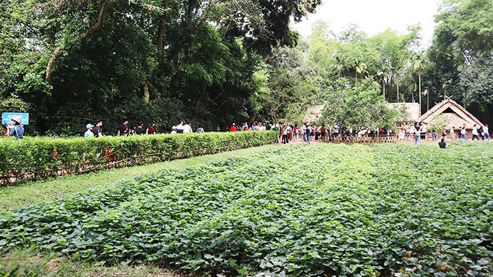The Kim Lien Special National Historical Site is crowded with locals and tourists from across regions in the country The Kim Lien Special National Historical Site is crowded with locals and tourists from across regions in the country