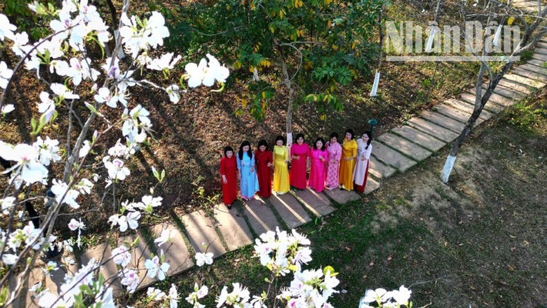 Visitors pose under the iconic white and purple hues of bauhinia flowers.