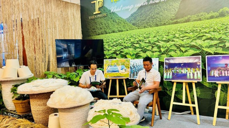 Promoting commitment to green energy ảnh 3