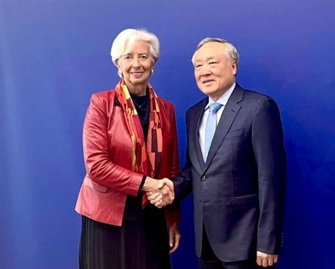 Deputy PM Nguyen Hoa Binh discusses financial centre development with ECB ảnh 1