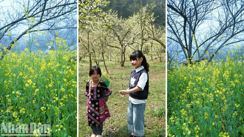 Travellers can lose themselves in the breath-taking beauty of nature and capture the magic of spring in full bloom. Travellers can lose themselves in the breath-taking beauty of nature and capture the magic of spring in full bloom.