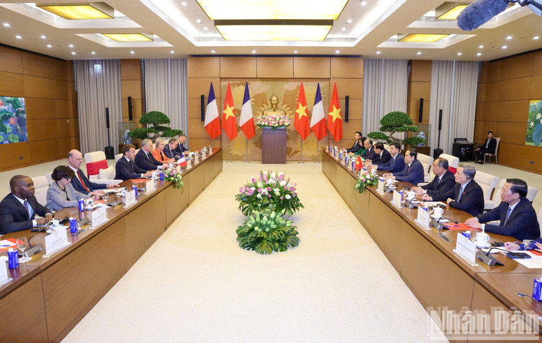 At the meeting between Vietnamese National Assembly Chairman Tran Thanh Man and French President Emmanuel Macron on May 26 (Photo: NDO)