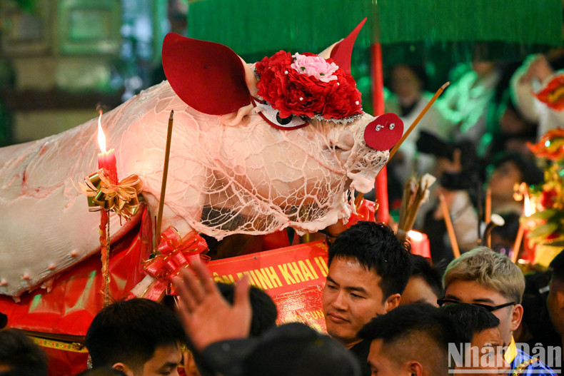 Pigs that are big and well-decorated are awarded by the village. Pigs that are big and well-decorated are awarded by the village.