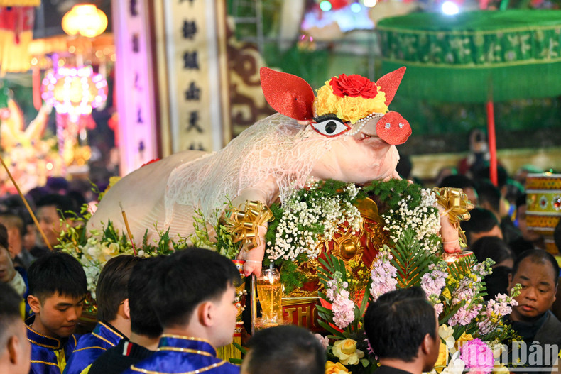 The palanquin of the pig is carried by selected young men in the village. The palanquin of the pig is carried by selected young men in the village.