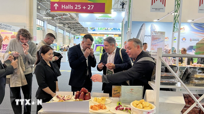 Vietnamese fruits introduced to European consumers at Fruit Logistica, the world’s largest fruit and vegetable exhibition, which was held in Berlin, Germany in February 2025. (Photo: VNA)